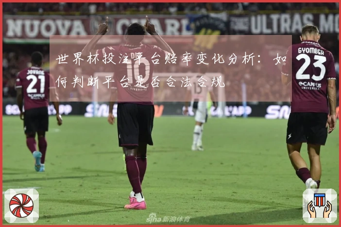 世界杯投注平台赔率变化分析：如何判断平台是否合法合规
