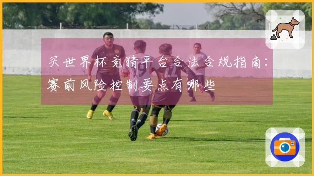 买世界杯竞猜平台合法合规指南：赛前风险控制要点有哪些