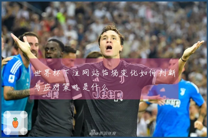 世界杯下注网站临场变化如何判断与应对策略是什么