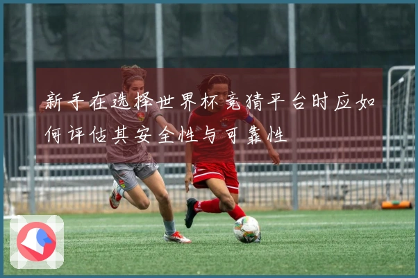 新手在选择世界杯竞猜平台时应如何评估其安全性与可靠性