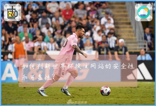 如何判断世界杯投注网站的安全性和可靠性？