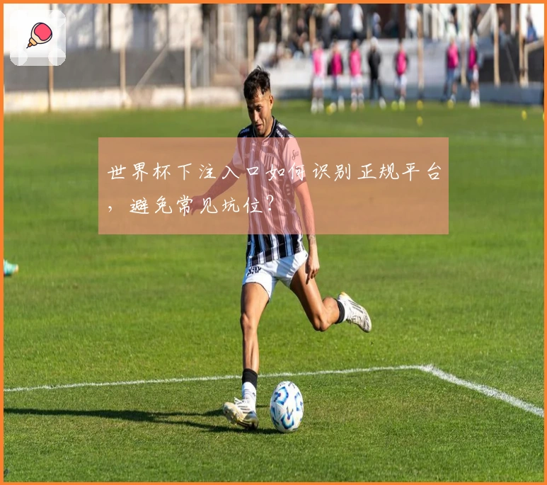 世界杯下注入口如何识别正规平台，避免常见坑位？