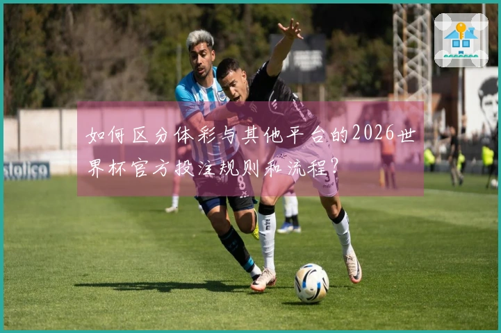 如何区分体彩与其他平台的2026世界杯官方投注规则和流程?