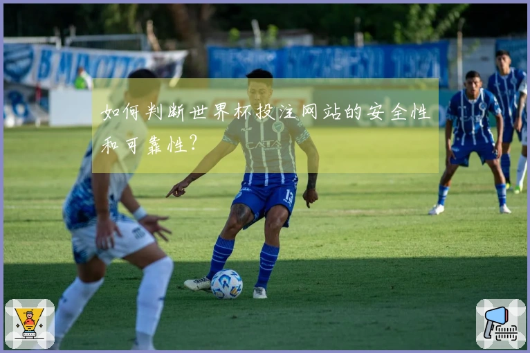 如何判断世界杯投注网站的安全性和可靠性？