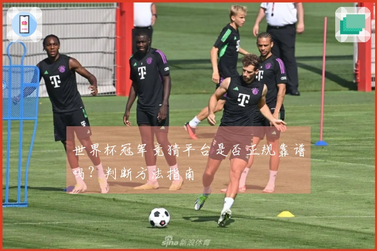 世界杯冠军竞猜平台是否正规靠谱吗？判断方法指南